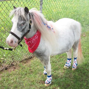 Fundraising Page: Beasley & Debbie McILhagga